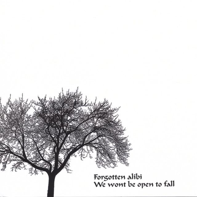 Forgotten Alibi – We Won't Be Open to Fall artwork